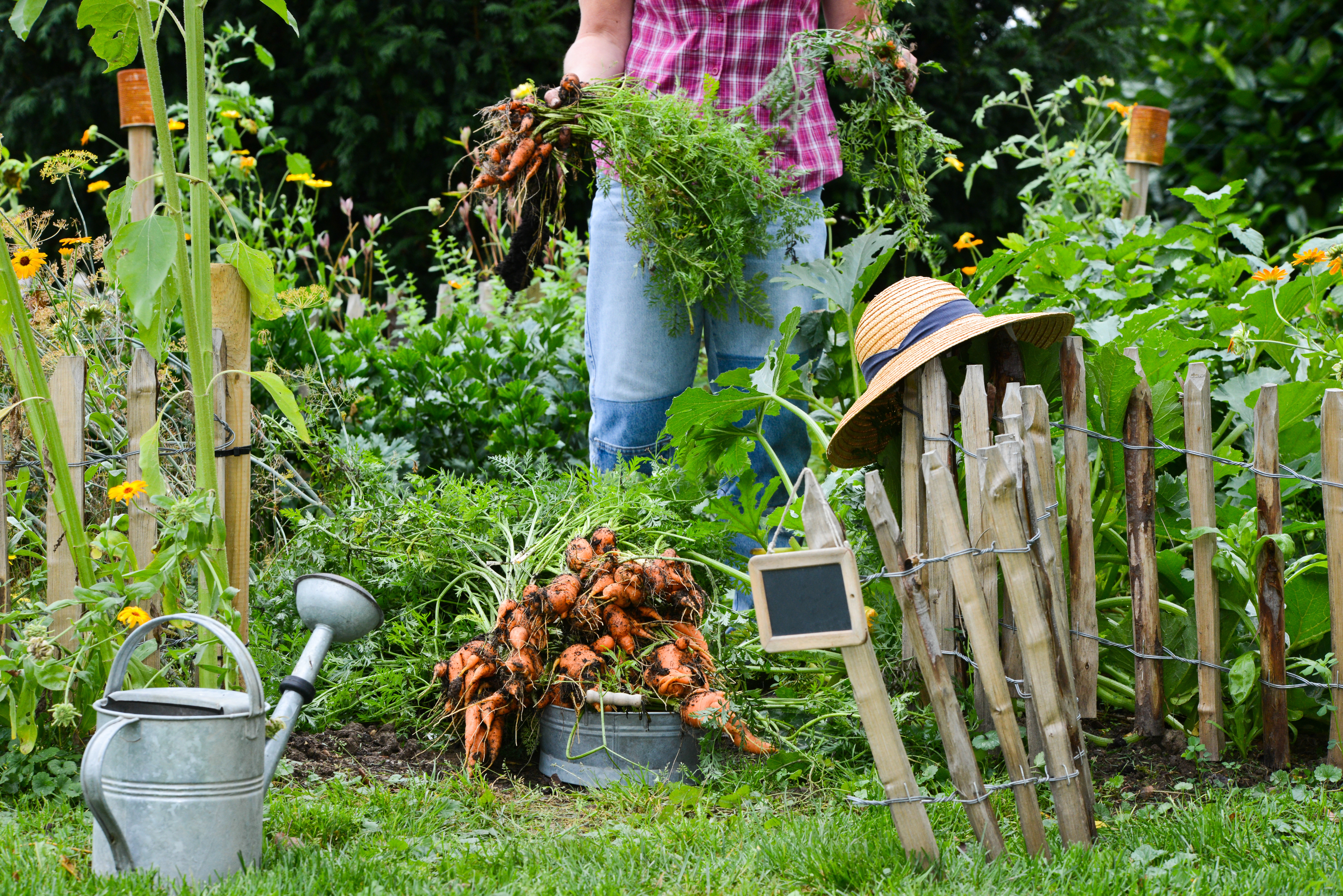 jardin écologique